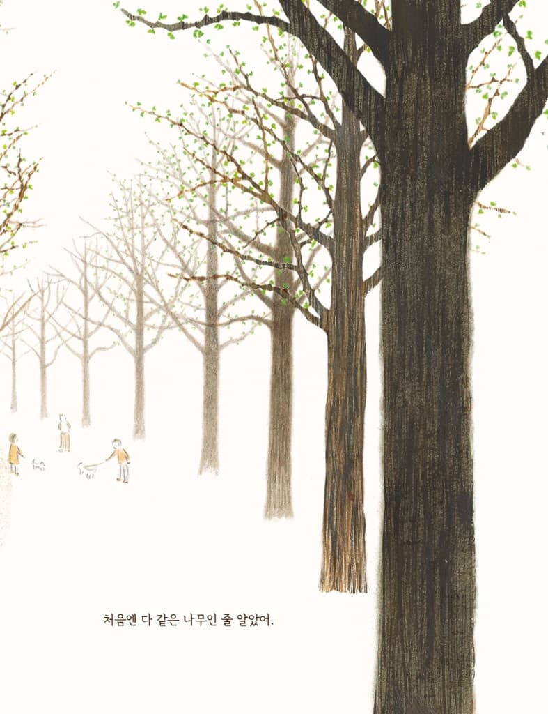 다 같은 나무인 줄 알았어