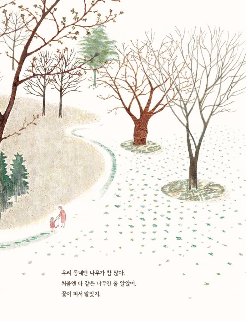 다 같은 나무인 줄 알았어