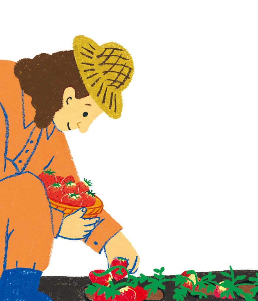 다람이네 텃밭의 못난이 축제