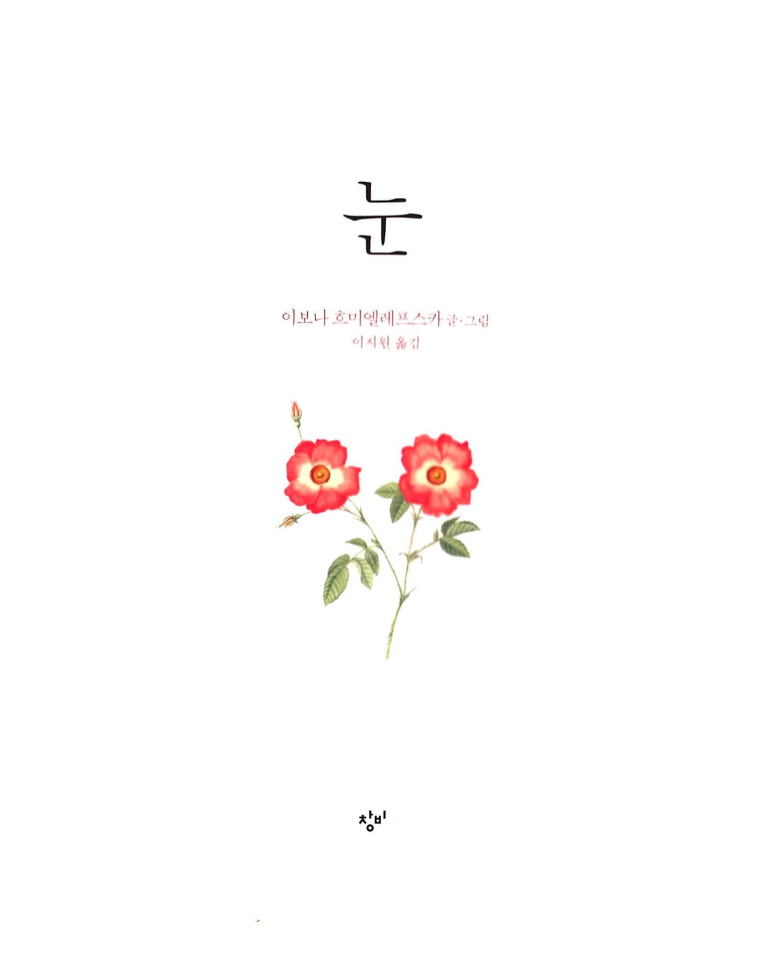눈