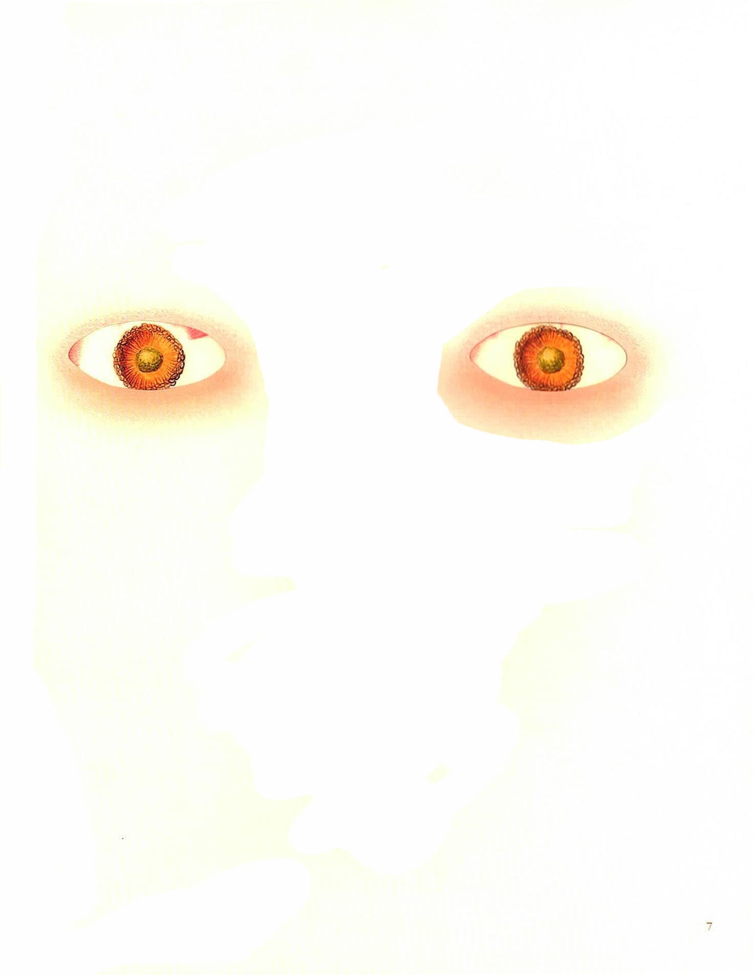 눈