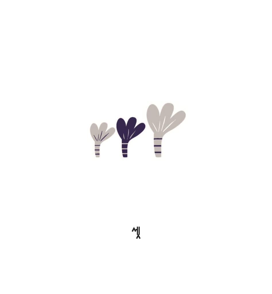 달, 달 숫자책