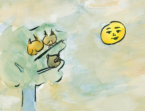 달님 누구 봐요?