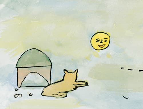 달님 누구 봐요?