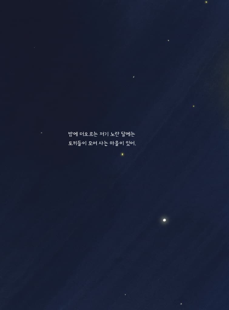달달토끼