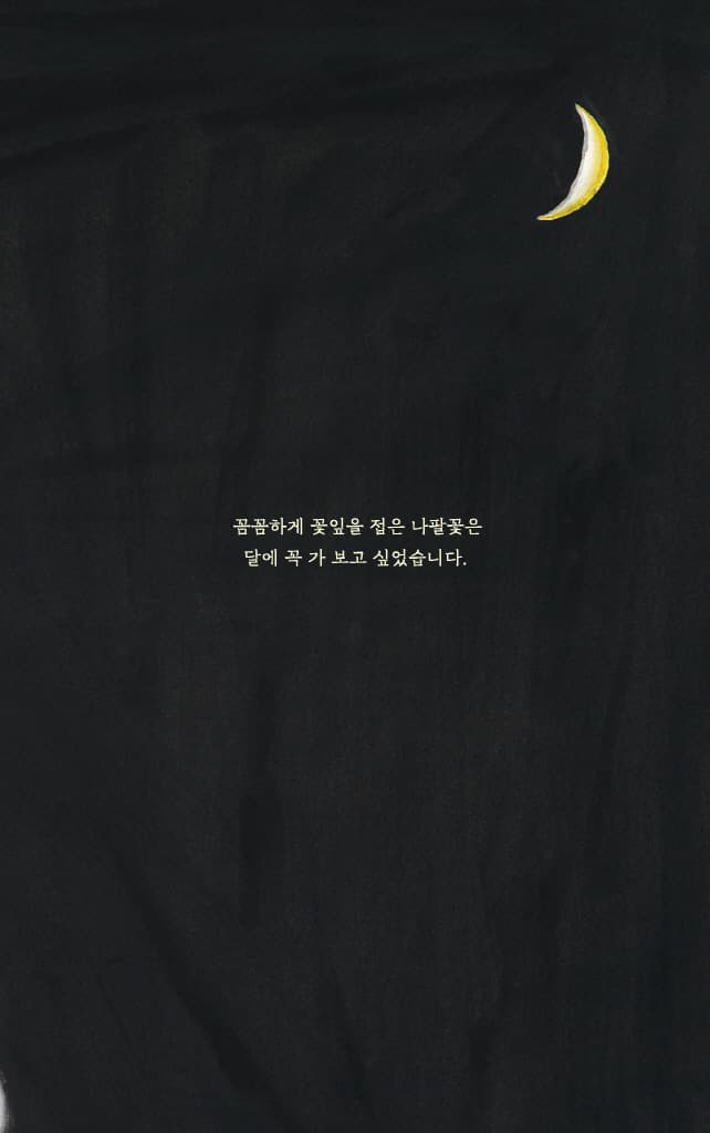 달에 간 나팔꽃