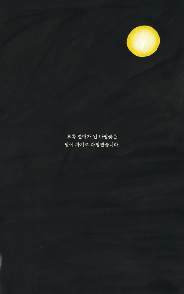달에 간 나팔꽃