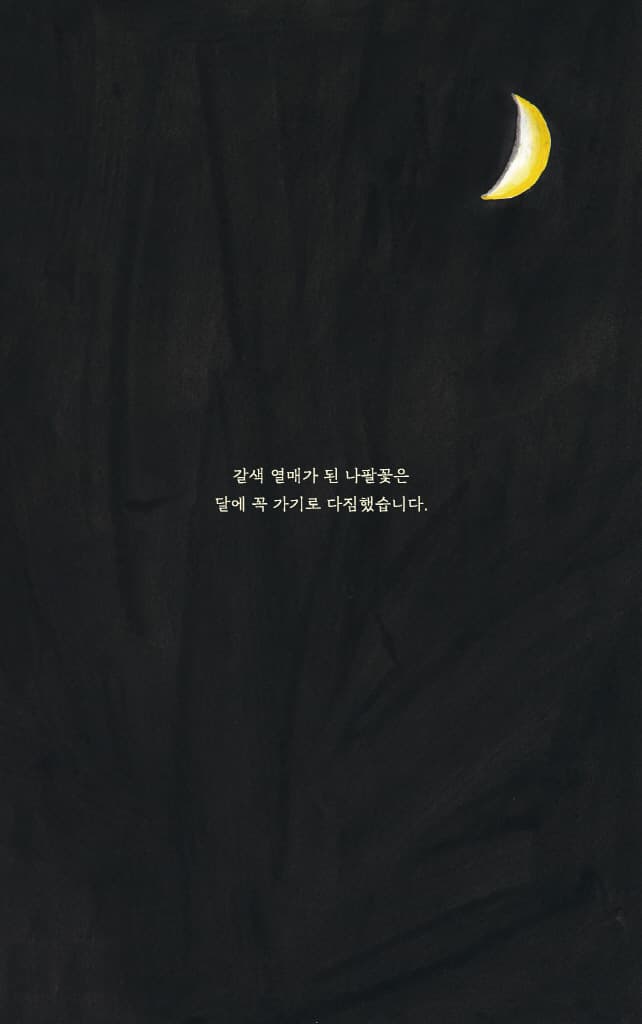 달에 간 나팔꽃