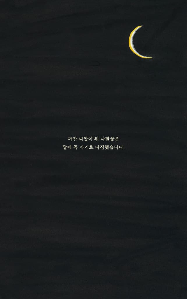 달에 간 나팔꽃