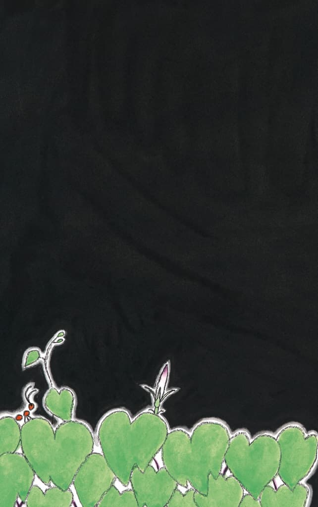 달에 간 나팔꽃