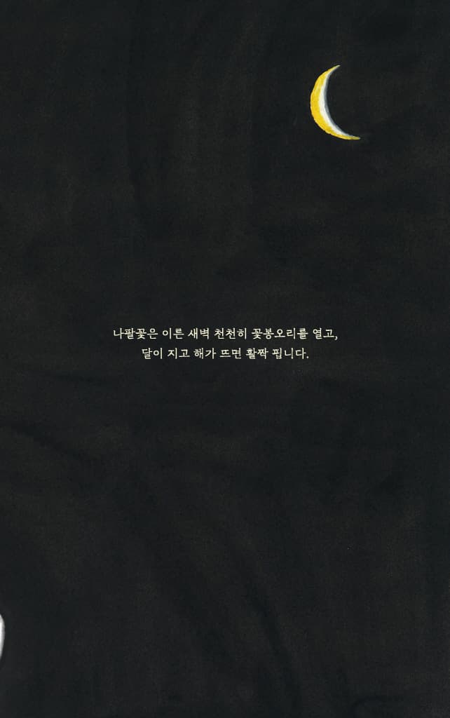 달에 간 나팔꽃