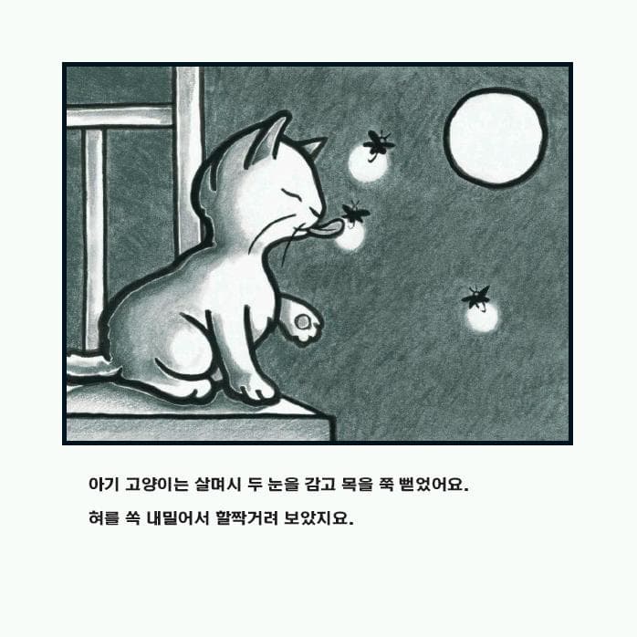달을 먹은 아기 고양이
