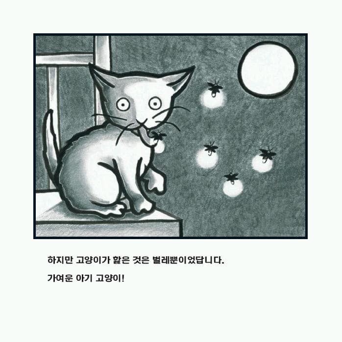 달을 먹은 아기 고양이