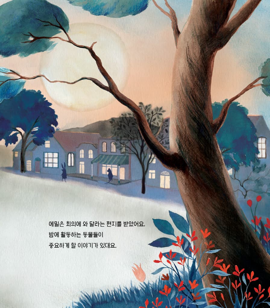 달을 지키는 곰