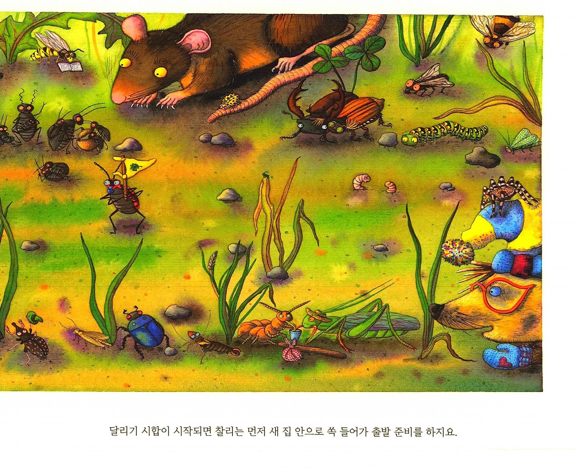 달팽이 찰리에겐 새 집이 필요해