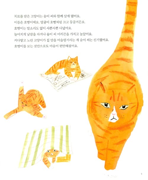 담벼락의 고양이 이웃
