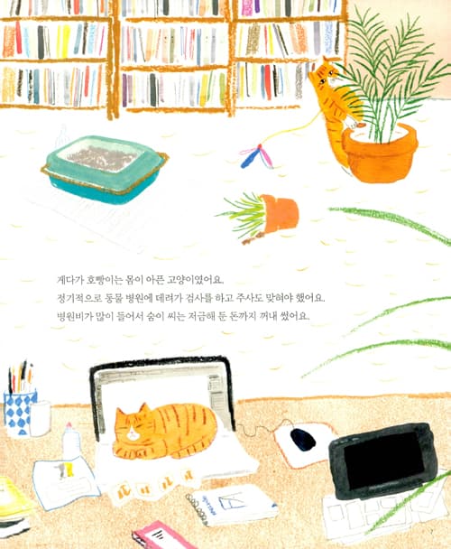 담벼락의 고양이 이웃