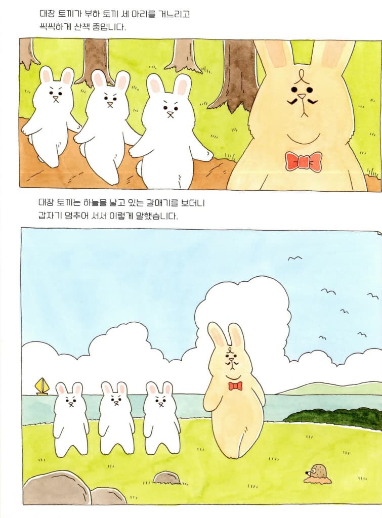 대장 토끼는 포기하지 않아