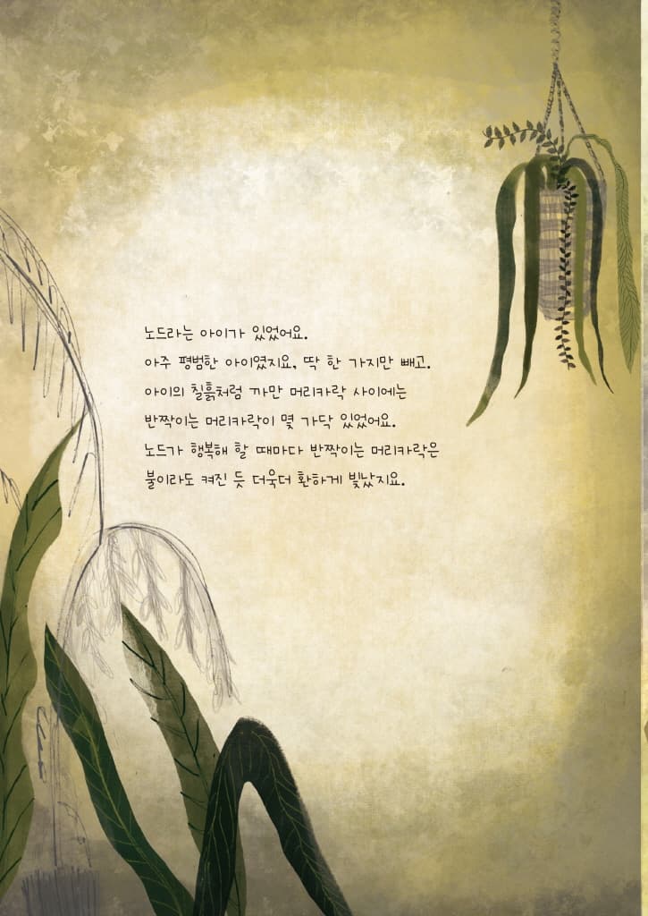 대지의 아이, 노드