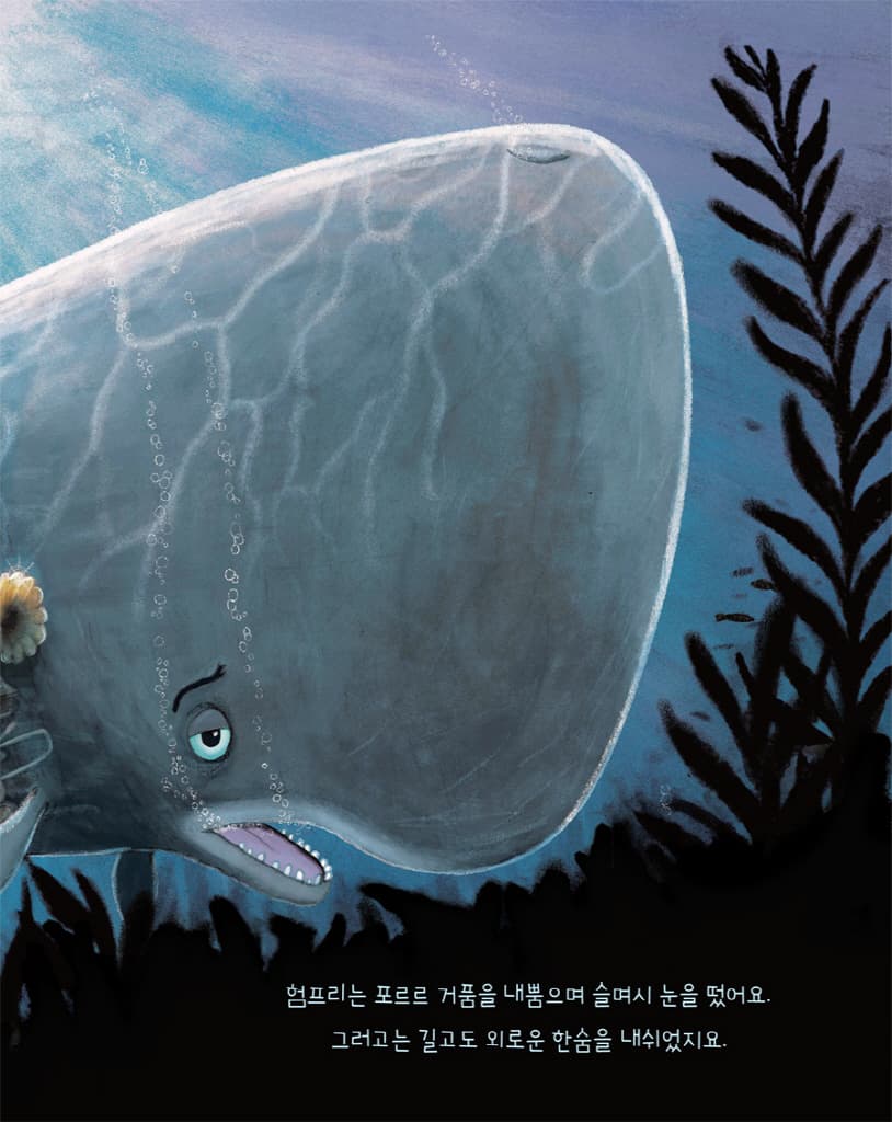 더, 더, 더, 갖고 싶어 하는 고래