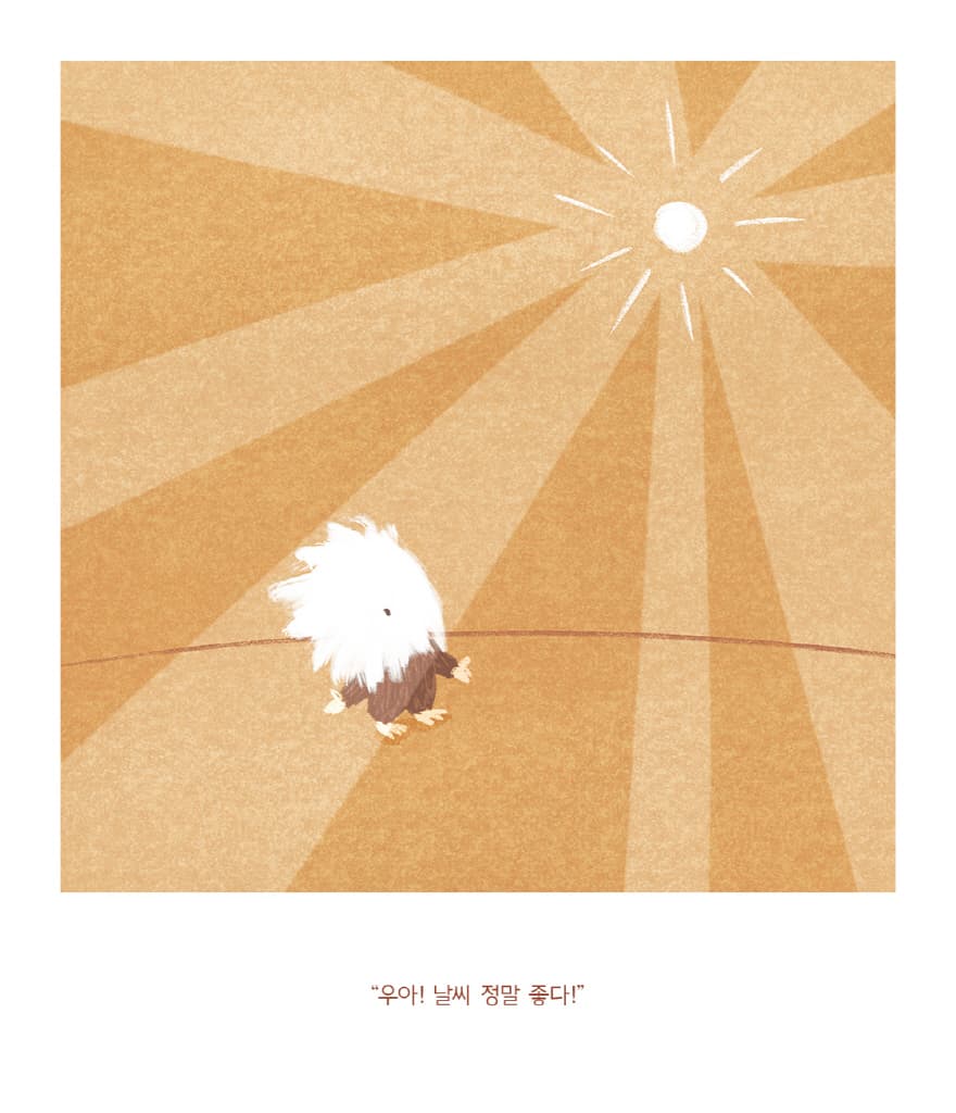 도노의 산책