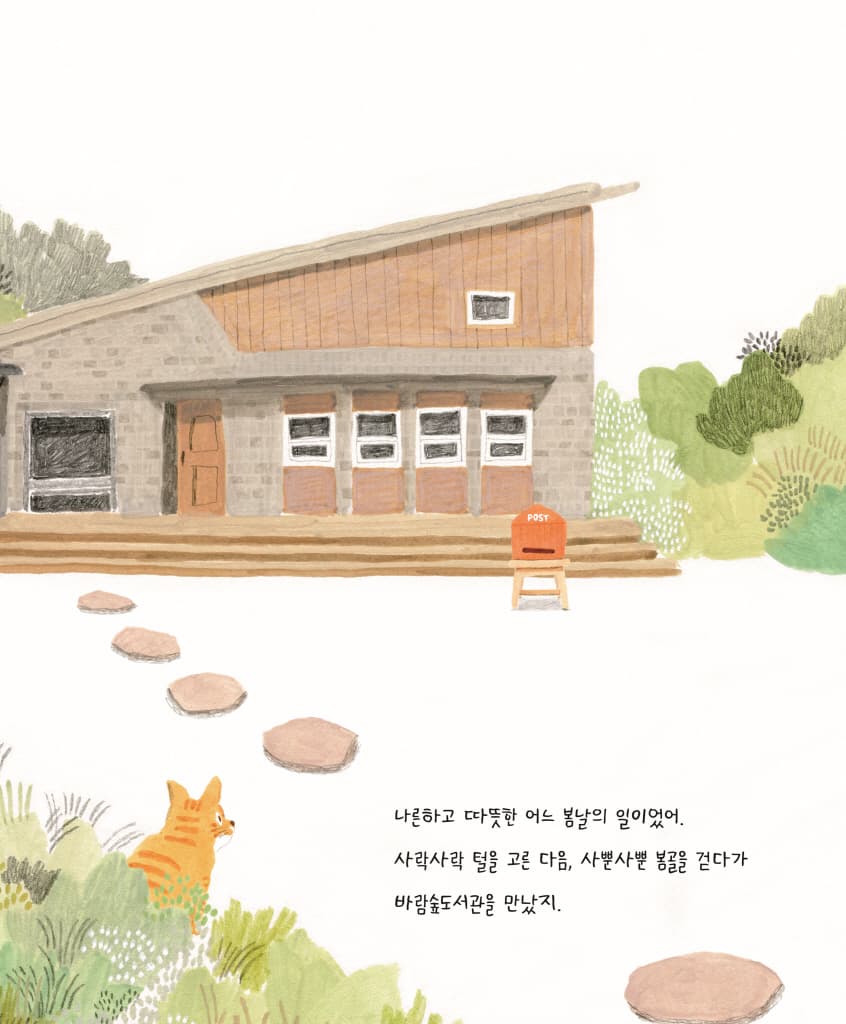 도서관 고양이