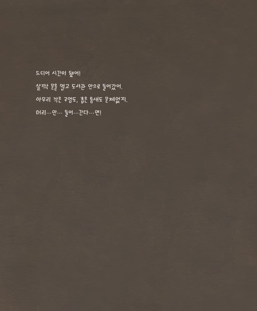 도서관 고양이