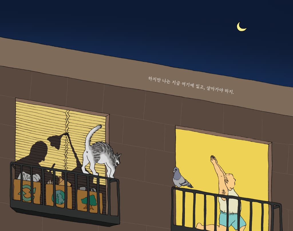 도시 악어