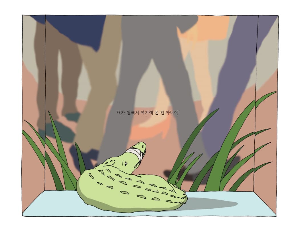 도시 악어