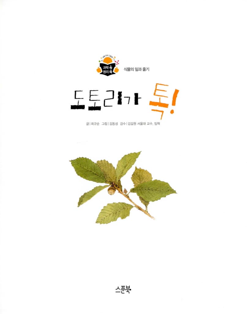 도토리가 톡!