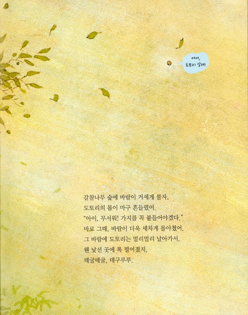도토리가 톡!