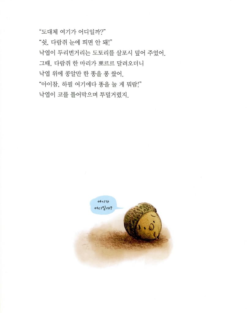 도토리가 톡!