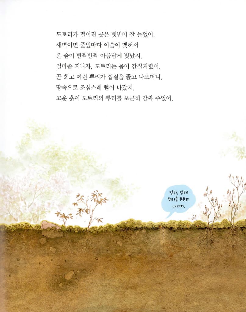 도토리가 톡!