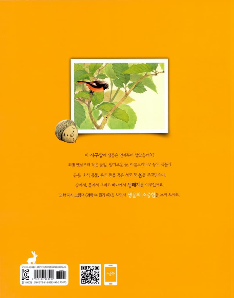 도토리가 톡!