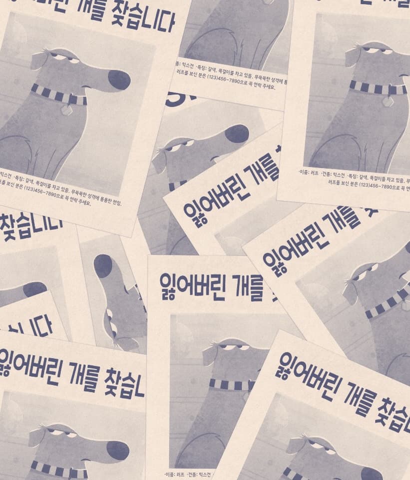 난 잃어버린 개가 아니야