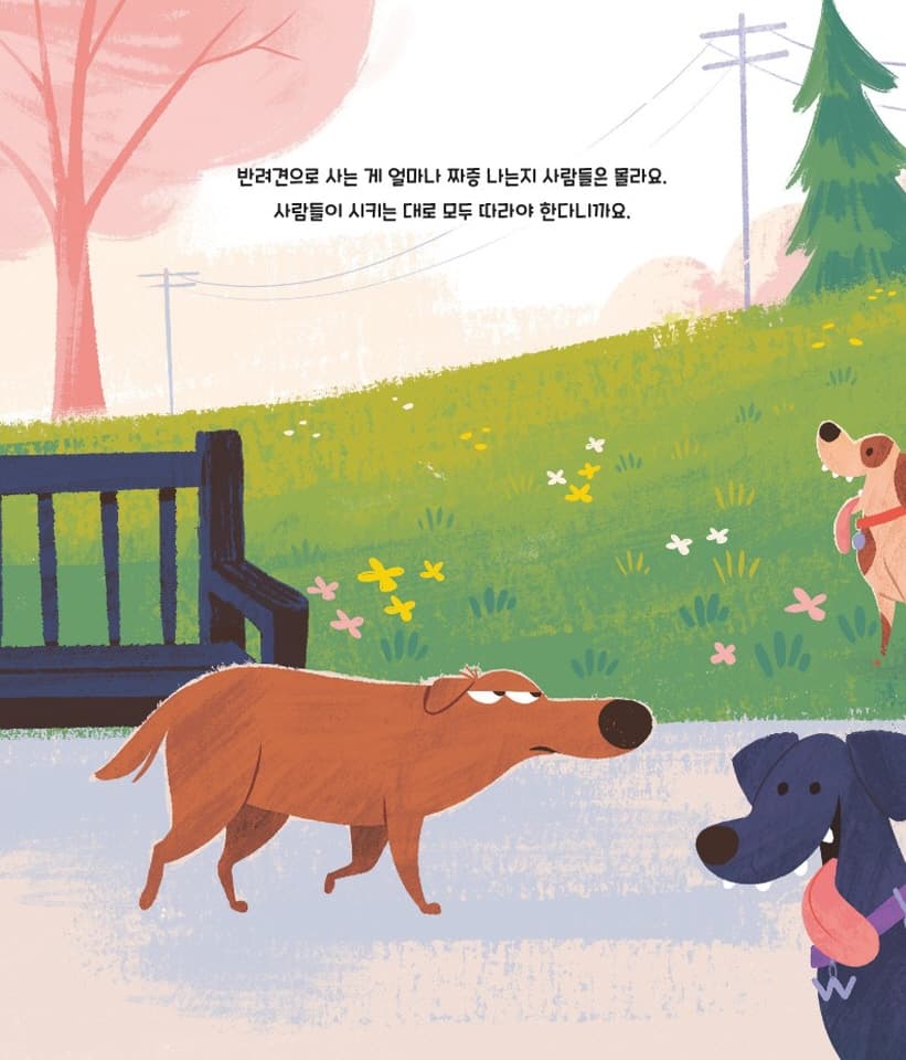난 잃어버린 개가 아니야