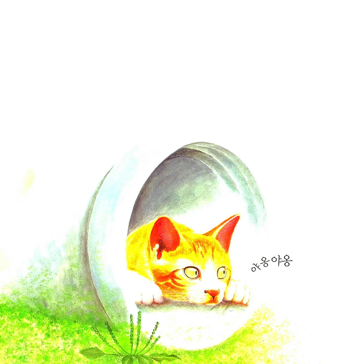 동물들이 바빠요 바빠