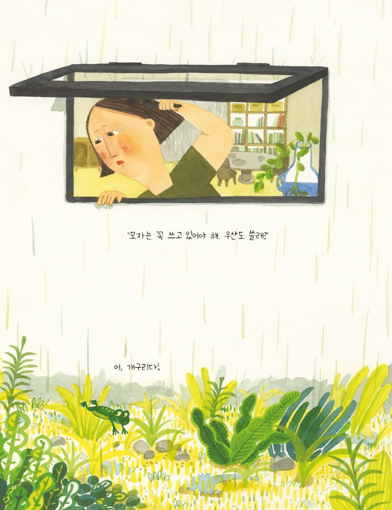 동물비