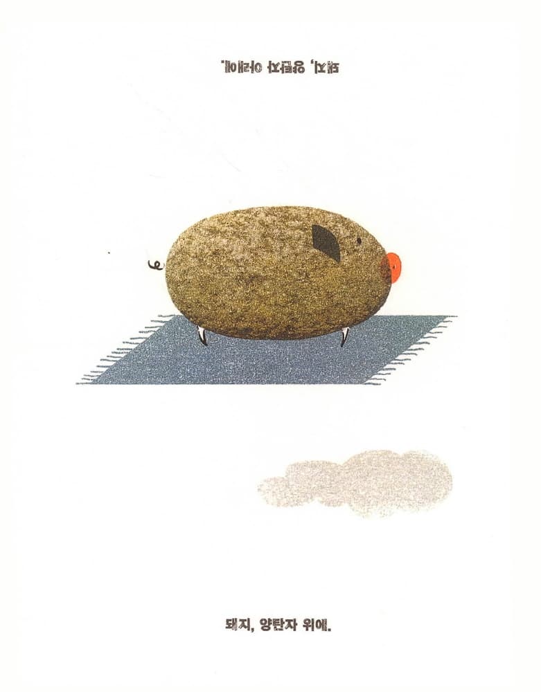 돼지 안 돼지