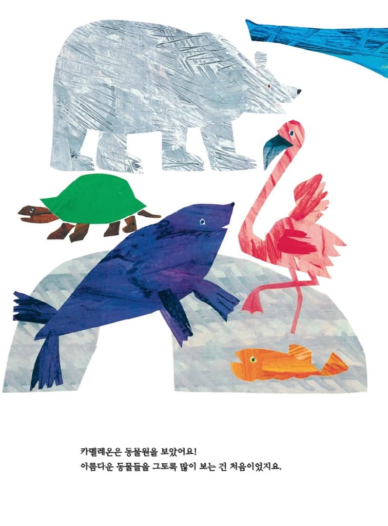 뒤죽박죽 카멜레온