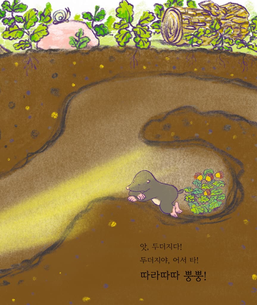 따라따따 자동차