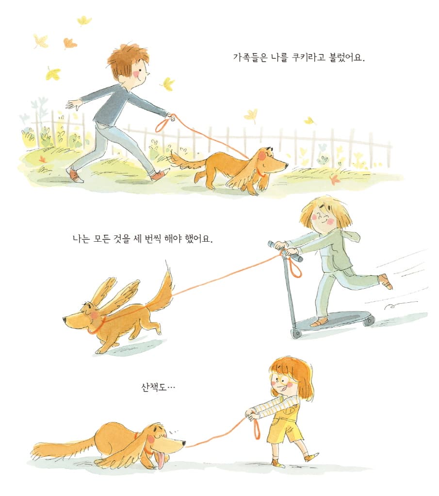 따로따로 가족