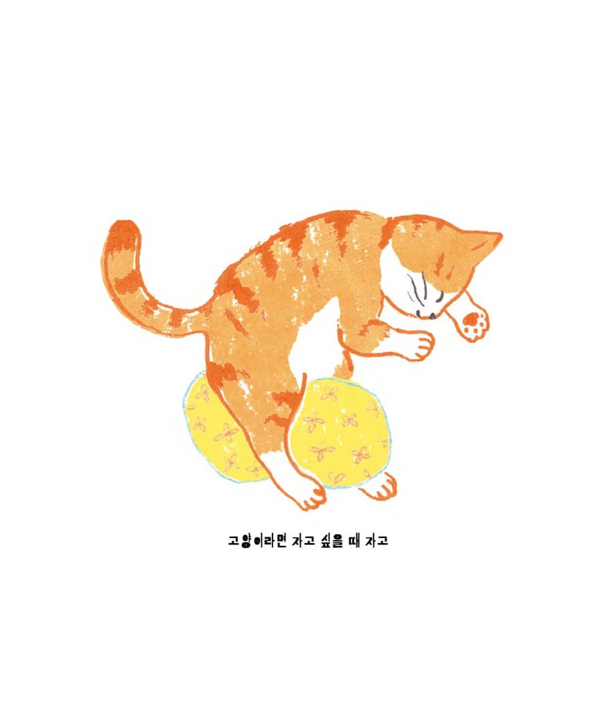 딱 하루만 고양이