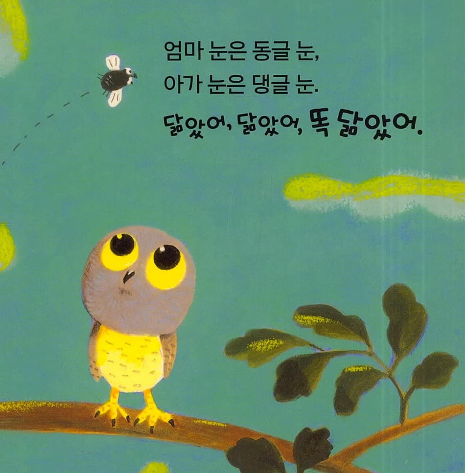 똑 닮았어