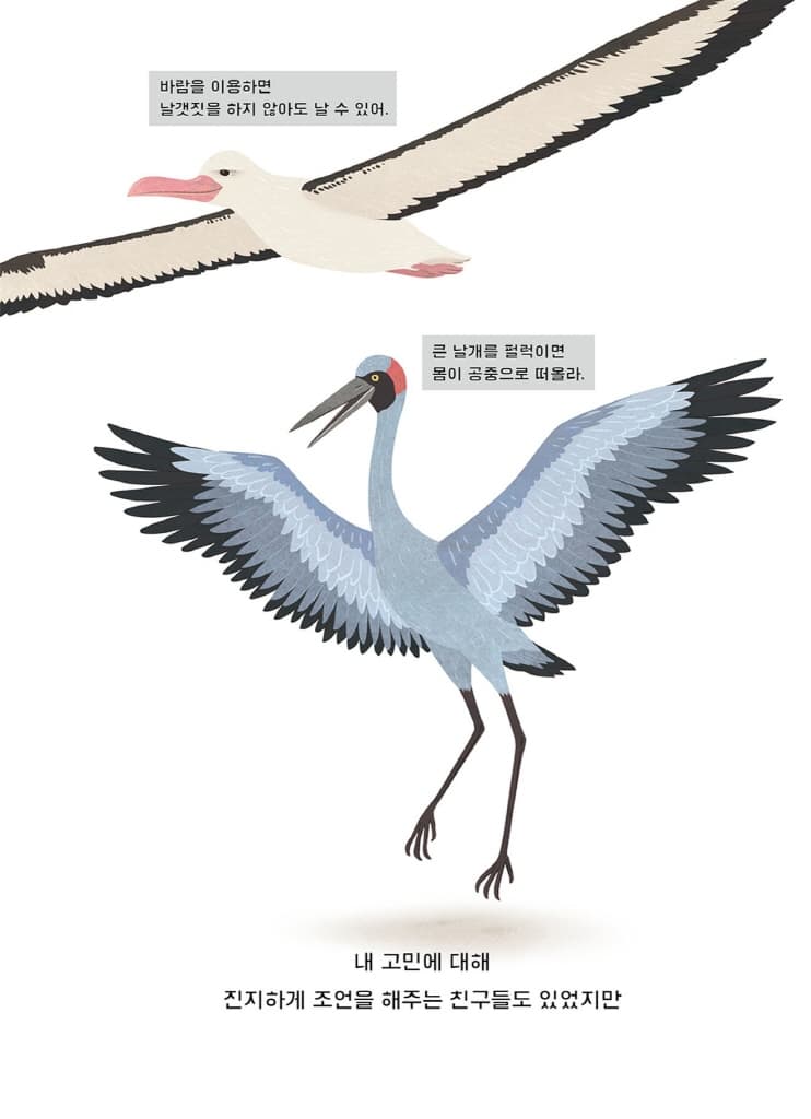 날고 싶은 키위