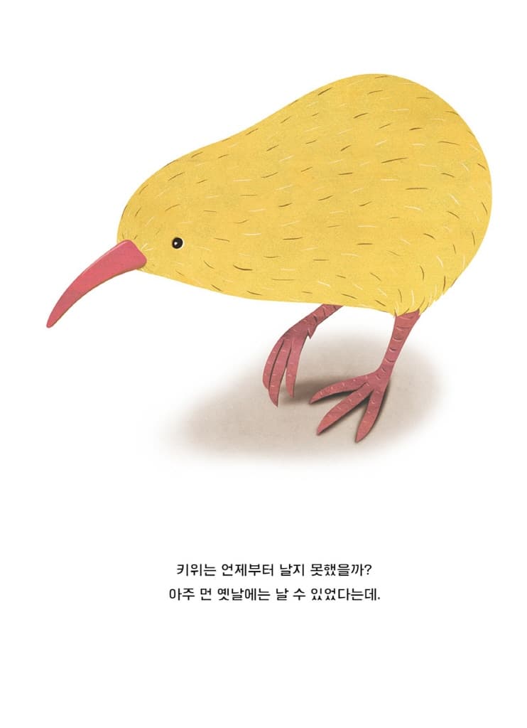 날고 싶은 키위