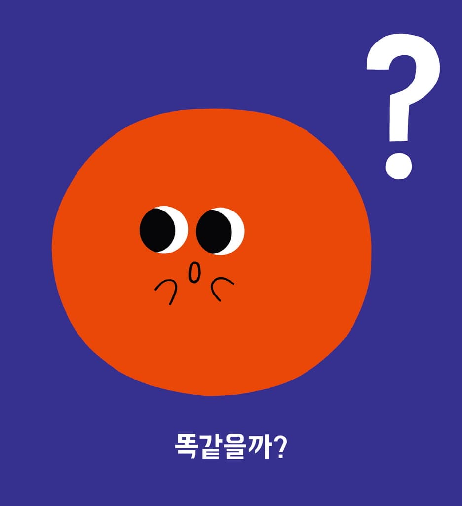 똑같을까?