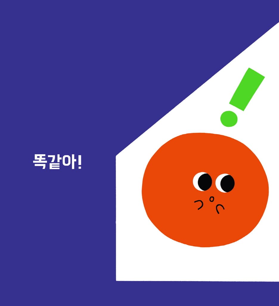 똑같을까?