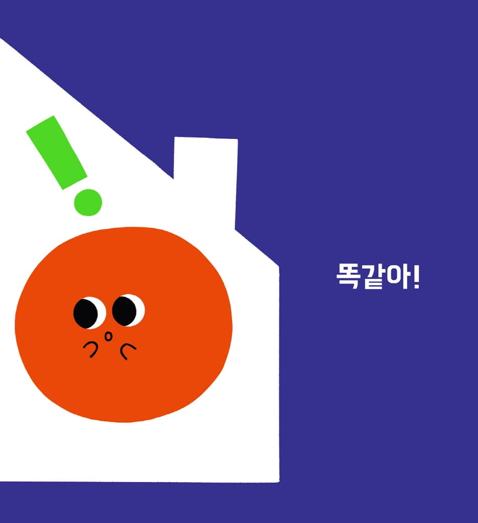 똑같을까?