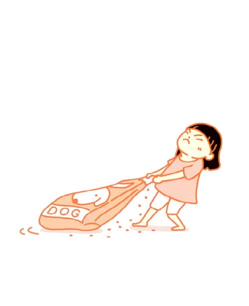 털이 좋아